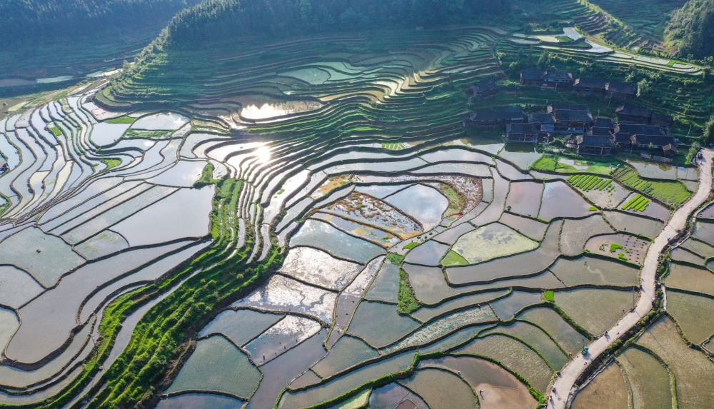 贵州从江：夏耕田园 美如画卷