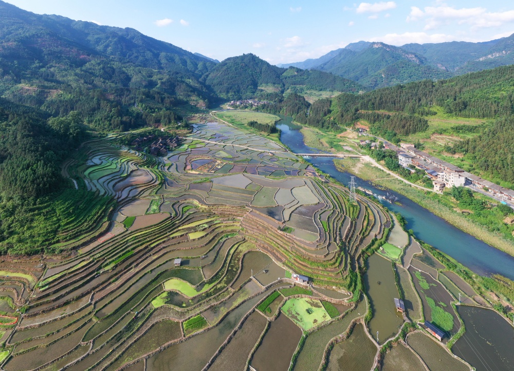 贵州从江：夏耕田园 美如画卷
