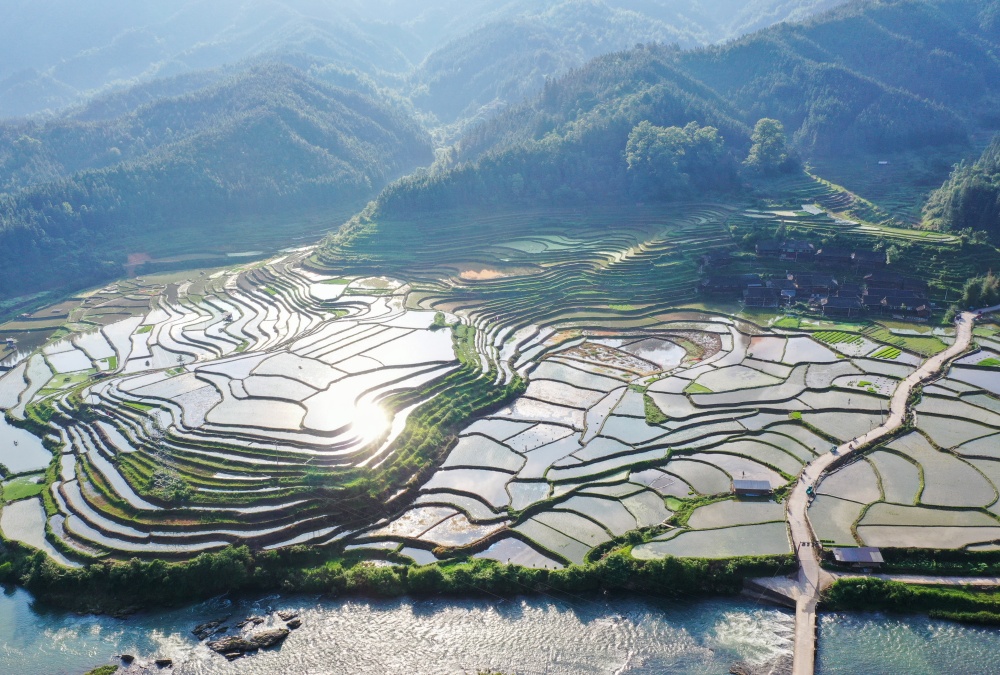 贵州从江：夏耕田园 美如画卷