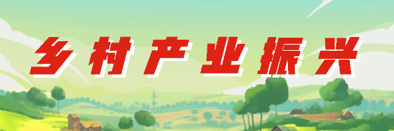 户户赶工忙，巧手包香粽！榕江王岭村小工坊助增收
